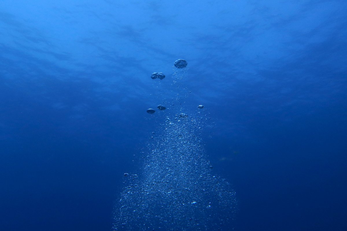 Вода на глубине 70 метров. В толще воды. Океаны. Глубина. Водная толща. Уровни глубины океана.