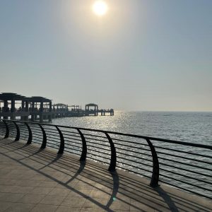 159787654_264984395323492_7471029513829606356_o