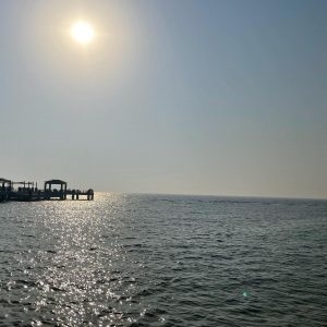 159510126_264984368656828_1431827838010024200_o