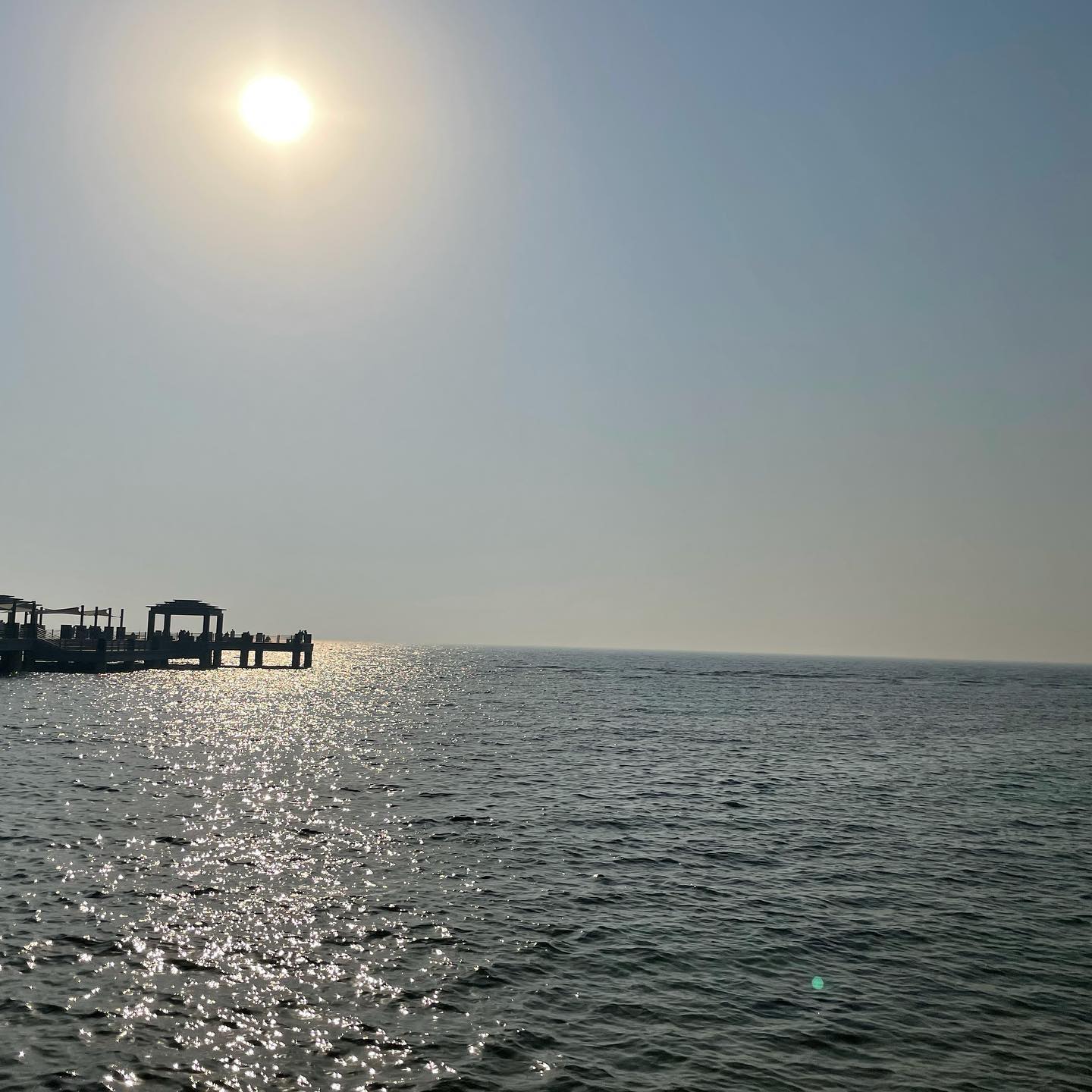 159510126_264984368656828_1431827838010024200_o