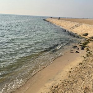 159813856_264984378656827_2580602242391627716_o