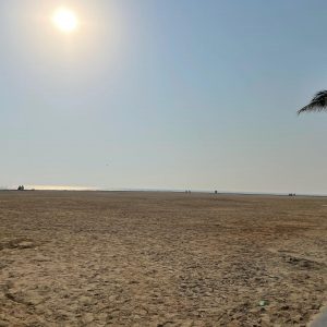 160064360_264984375323494_6692305848706256043_o