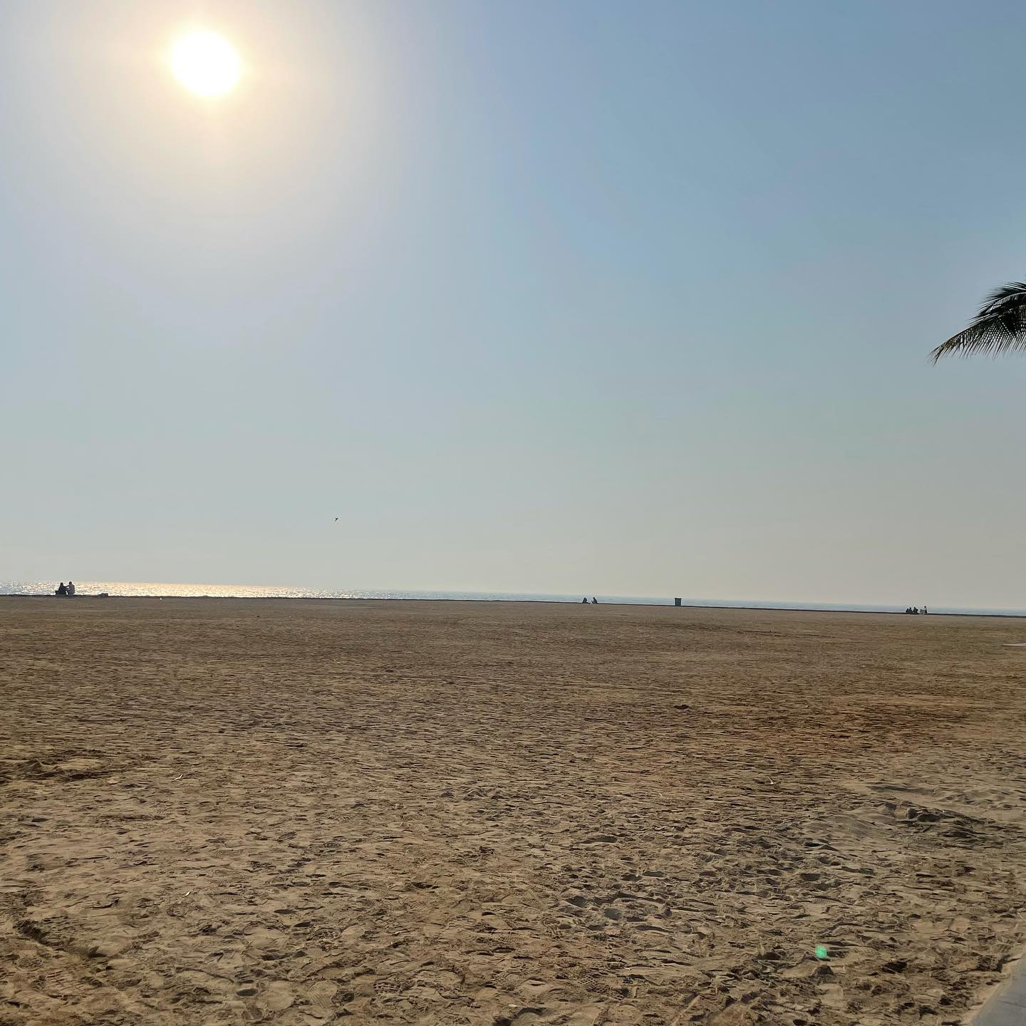 160064360_264984375323494_6692305848706256043_o