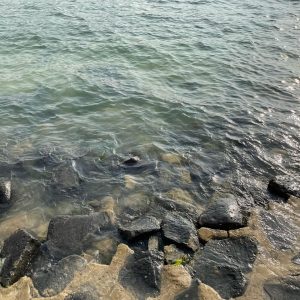 160516994_264984381990160_6810480706942141064_o