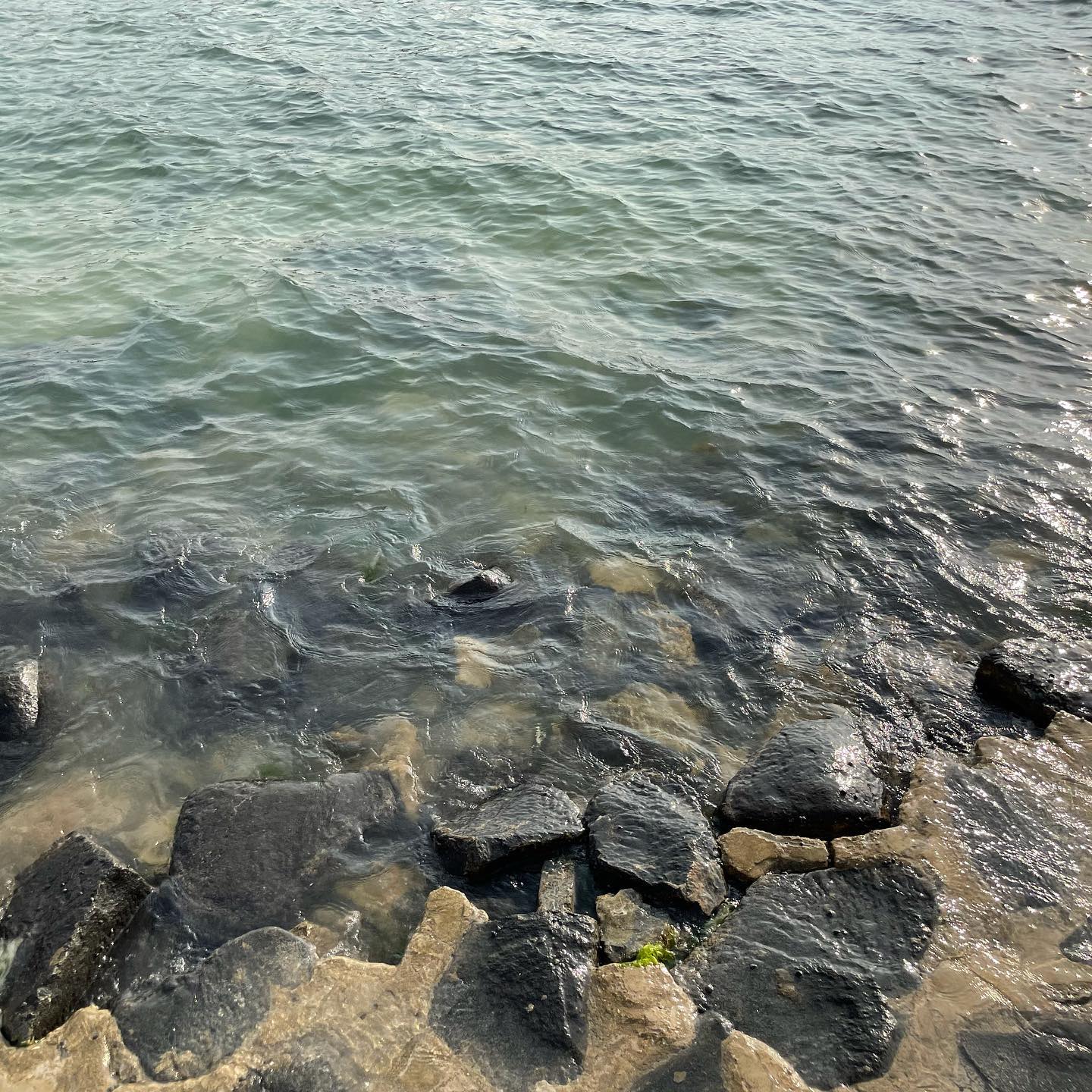 160516994_264984381990160_6810480706942141064_o